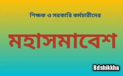 শিক্ষক ও কর্মচারীদের ৭ দফা দাবি আদায়ে ৩ জুন মহাসমাবেশ